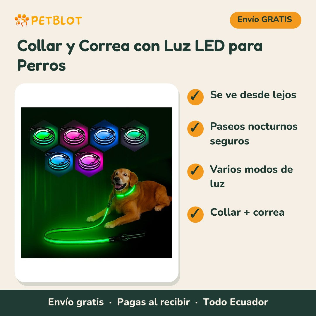 Collar y Correa con Luz LED para Perros